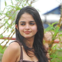 Actress Sheena Shahabadi latest Photos | Picture 46651